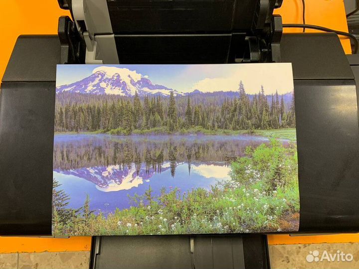 Цветной струйный принтер Epson L800