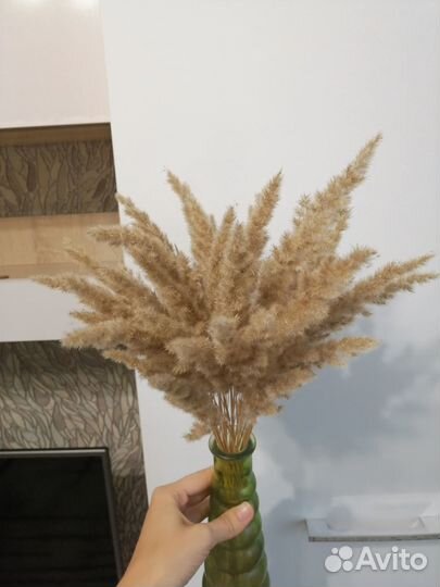 Пампасная трава, сухоцветы для декора 50 шт