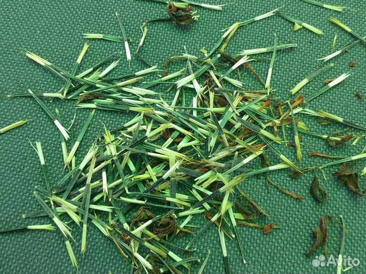 Бархатцы семена