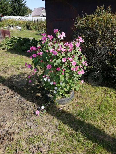 Дача 43 м² на участке 9 сот.