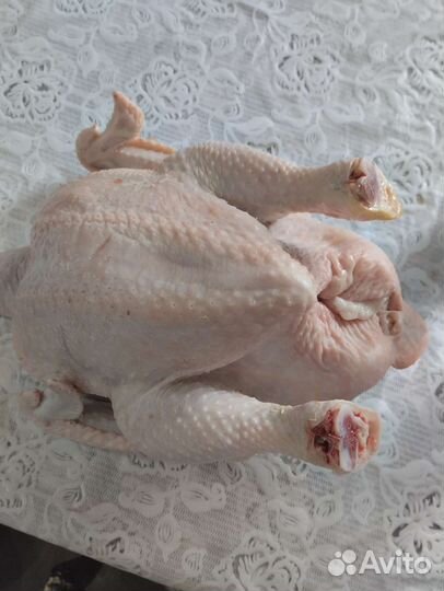 Мясо домашнего цыплёнка броллера