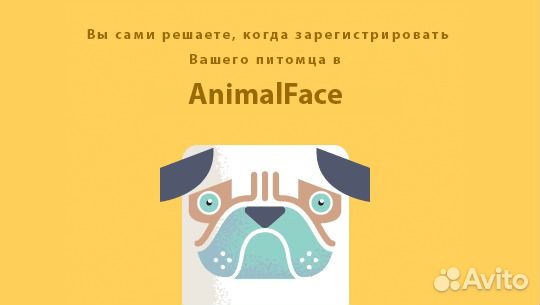 Вакцинация и чипирование Колтушское сп