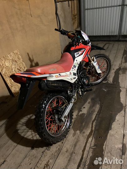 Ттр ирбис 250