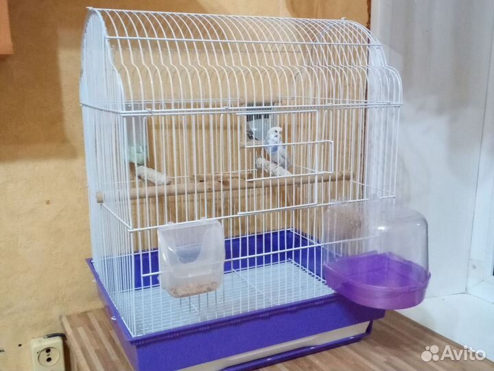 Продам клетку для птиц