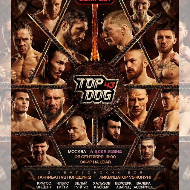 Два билета рядом Top dog 43