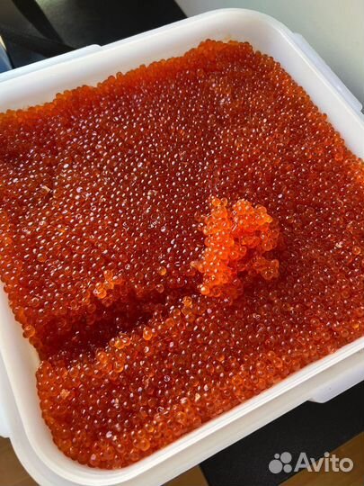 Икра красная 2023 год август