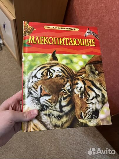 Книга для детей