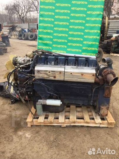 Двс Weichai WP10.310 E32