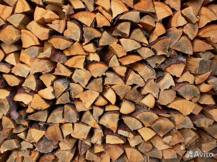 Дрова березовые