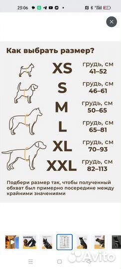 Шлейка для собаки