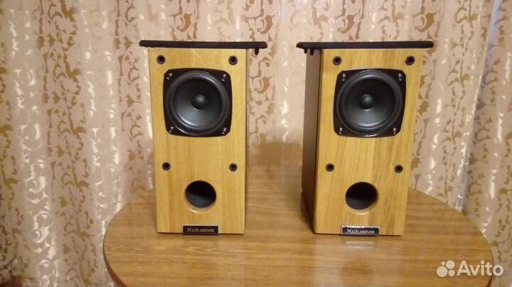 DIY акустика Fostex P1000K