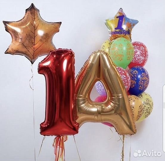 Воздушные шарики на 1 сентября,др, девичник