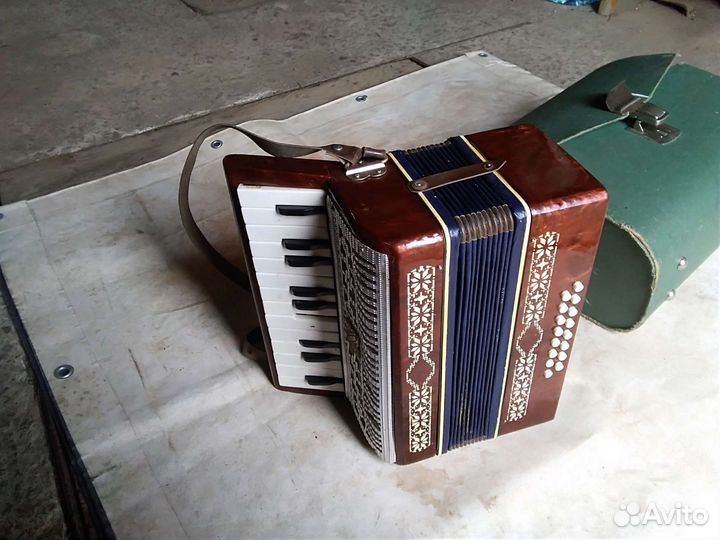 Аккордеон детский