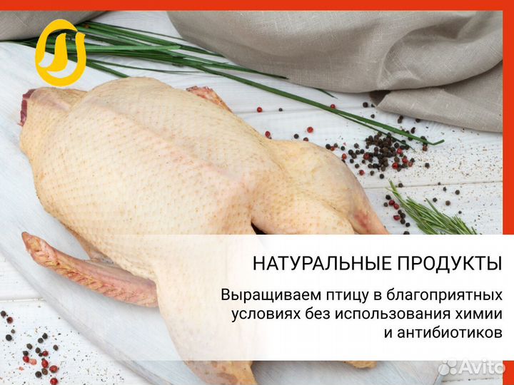 Мясо домашней утки
