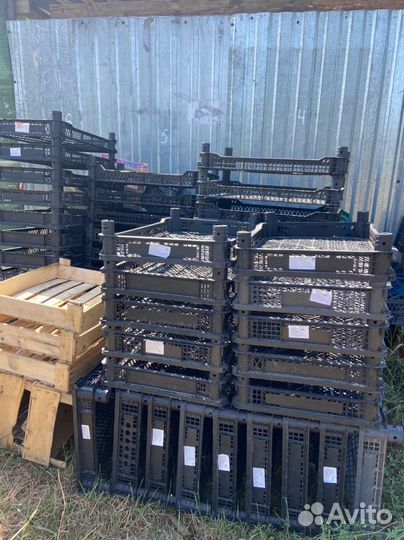 Банановые коробки и Ящики