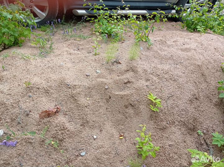 Песок (остаток)