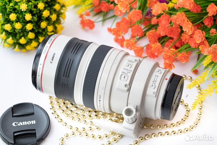 Canon EF 100-400 mm f/4.5-5.6L IS USM. Обмен