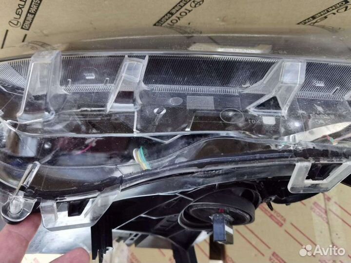 Фара правая Toyota Rav4 XA50 2018-2023