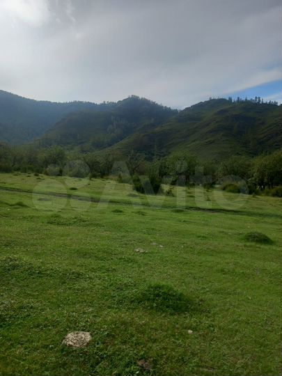 Участок 2,21 га (ИЖС)