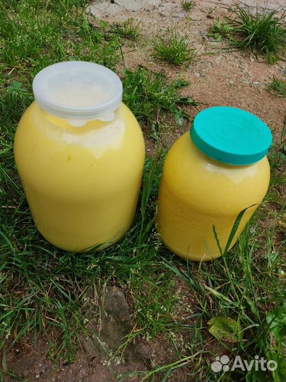 Горное топленое масло,домашнее