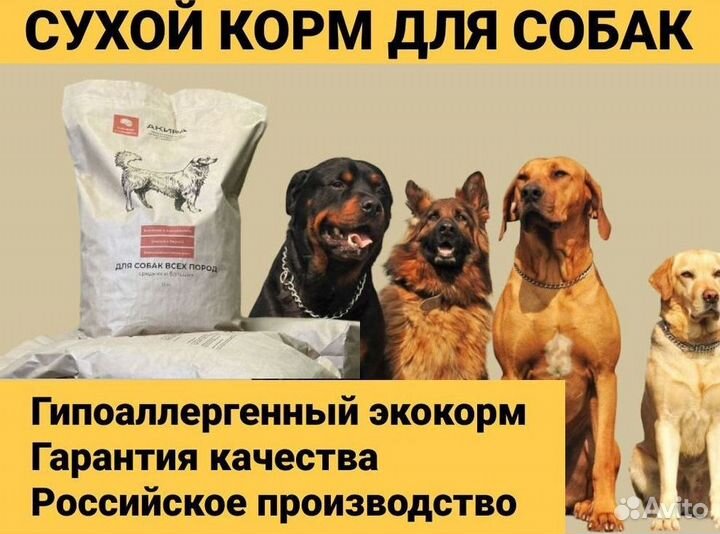 Натуральные лакомства для собак