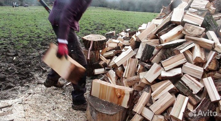 Дрова чистые