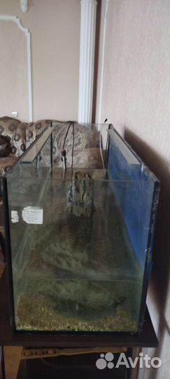 Аквариум с рыбами