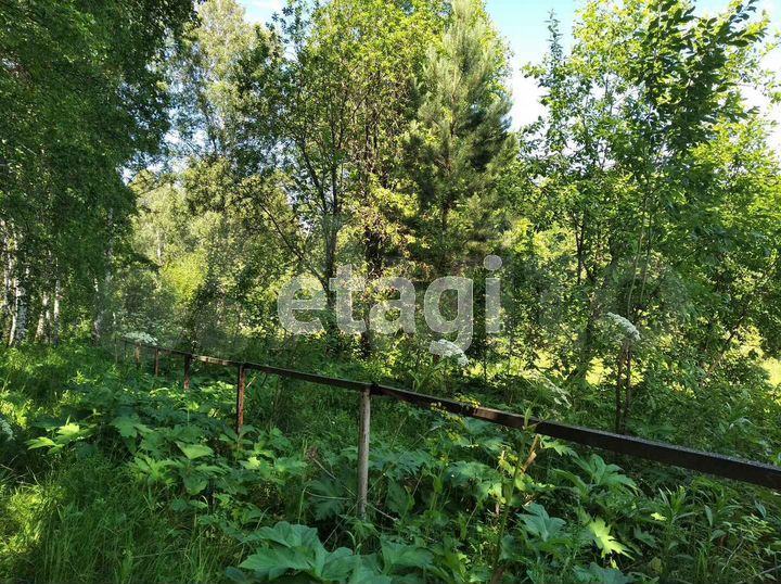 Участок 9,8 сот. (СНТ, ДНП)