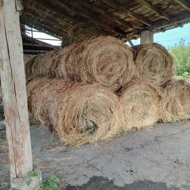 Сено в тюках