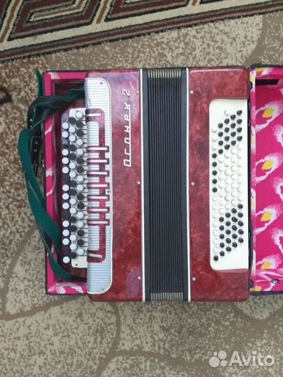 Баян Огонёк 2