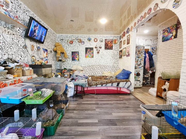 2-к. квартира, 44,7 м², 1/5 эт.