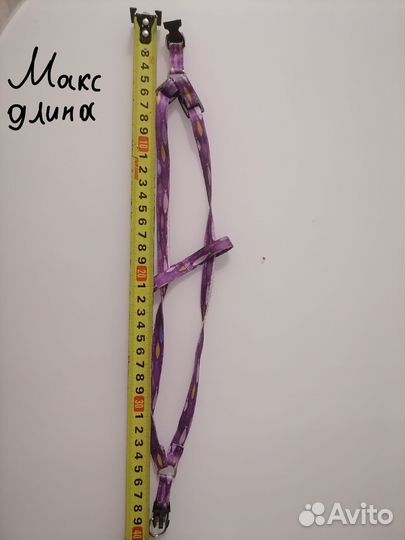 Шлейка и поводок