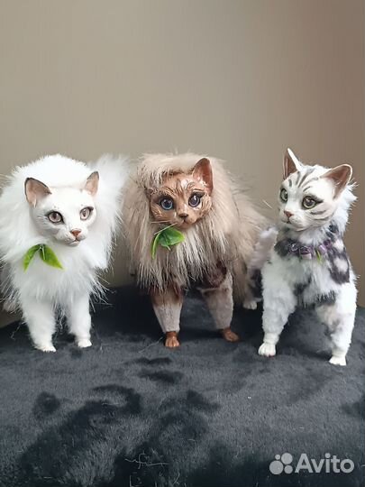 Коты воители в смешанной технике