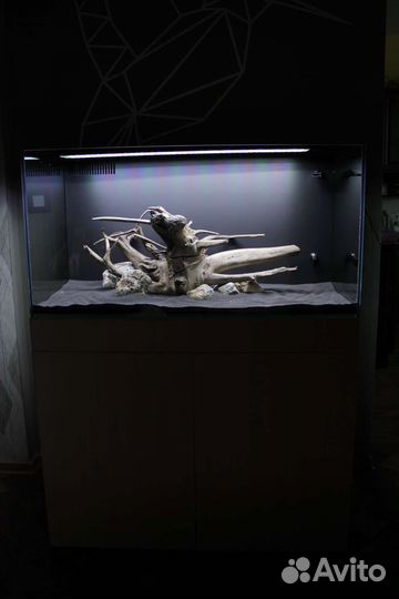 Аквариумы