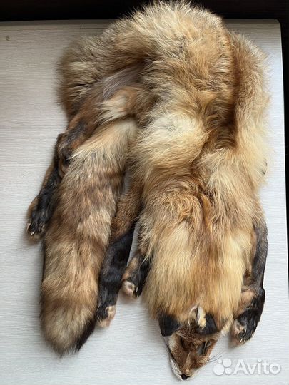 Шкура лисы