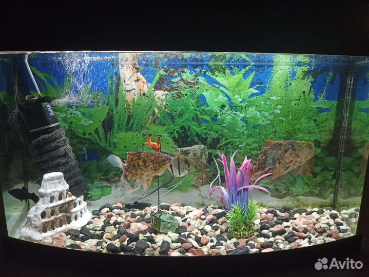 Аквариум на 140 литров