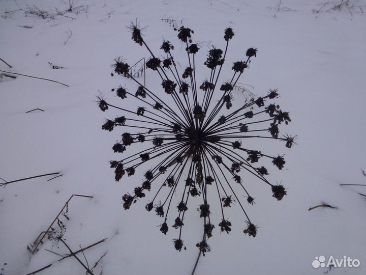 Головки для бензокосы echo SRM-22GES левая резьба