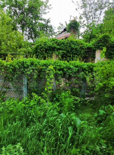 Дом 22,3 м² на участке 8,6 сот.