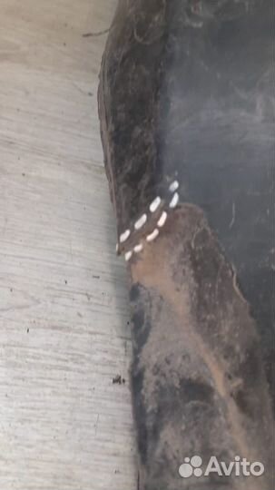 Подкрылок передний правый Land Rover Sport 2 С