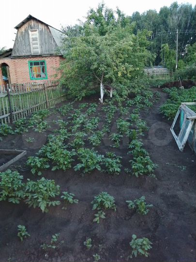 Участок 5 сот. (СНТ, ДНП)