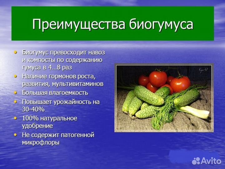 Биогумус натуральный для рассады