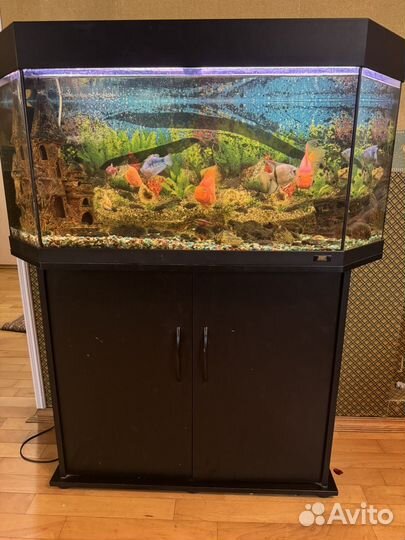 Аквариум с тумбой juwel