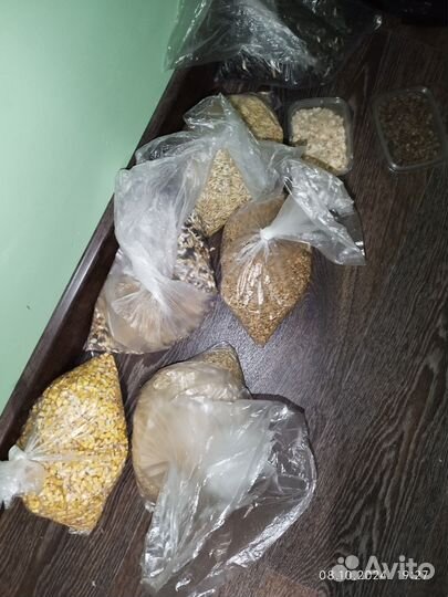 Клетка для попугая (всё что на фото в комплекте)