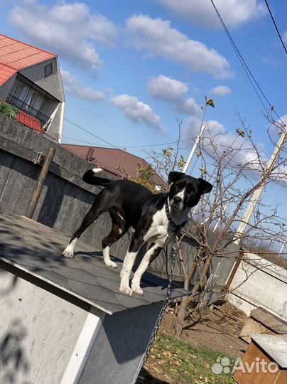 Шикарная Марта