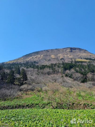 Экскурсии по острову кунашир