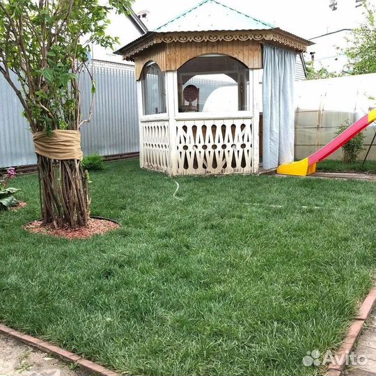 Рулонный газон под ключ