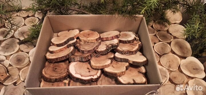 Спилы можжевельника (набор для творчества)