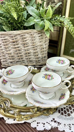 Кофейные пары Rosenthal