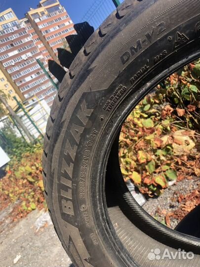 Bridgestone Blizzak DM-V2 225/55 R18 98T