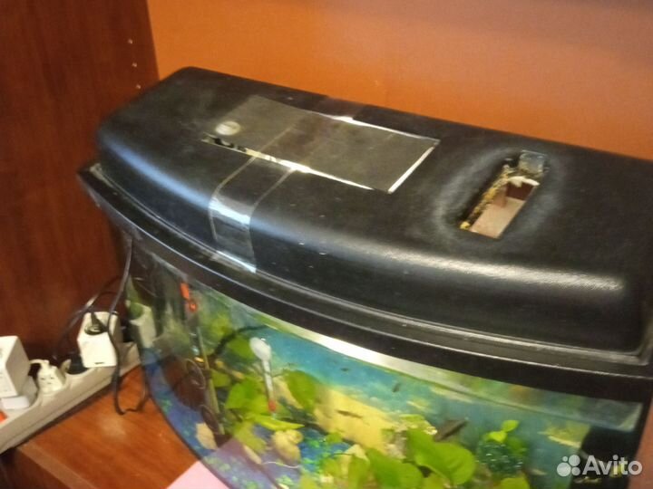 Аквариум на 50 литров